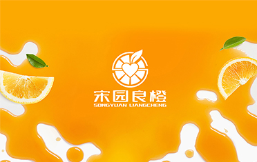 某良橙——驻马店LOGO设计