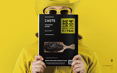 驻马店绯茶品牌设计